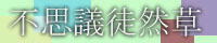 不思議徒然草