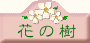 花の樹