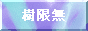 樹無限
